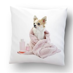 "Chihuahua" - poduszka na każdą okazję, rozm.  40 x 40cm, mikrofibra .