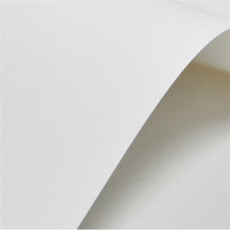 Zaproszenie ślubne - motyw kwiaty hawajskie - styl boho.