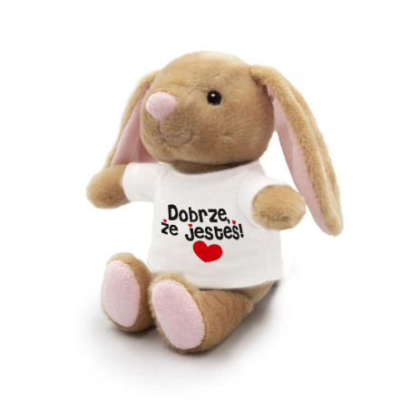 Królik brązowy dla bliskiej Ci osoby- Dobrze, że jesteś- 18cm.