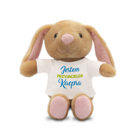 Królik brązowy dla dziecka z okazji narodzin- jestem przyjacielem Twojego dziecka - różowa lub niebieska- 18cm.