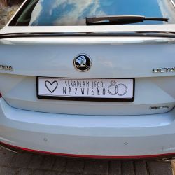 Zestaw tablic rejestracyjnych dla młodej pary "On skradł... 2